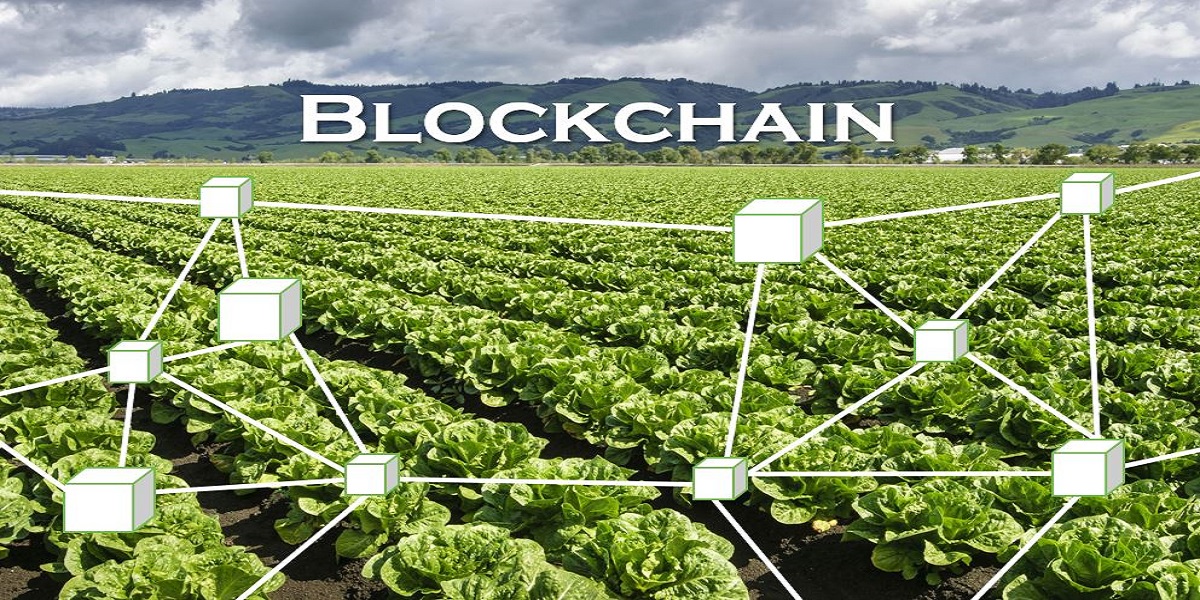 How Blockchain Benefits Agriculture and Food Industry in Future?