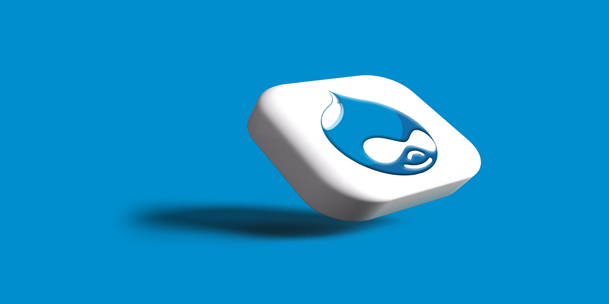 Important Tips Every Drupal Developer Must Be Familiar With