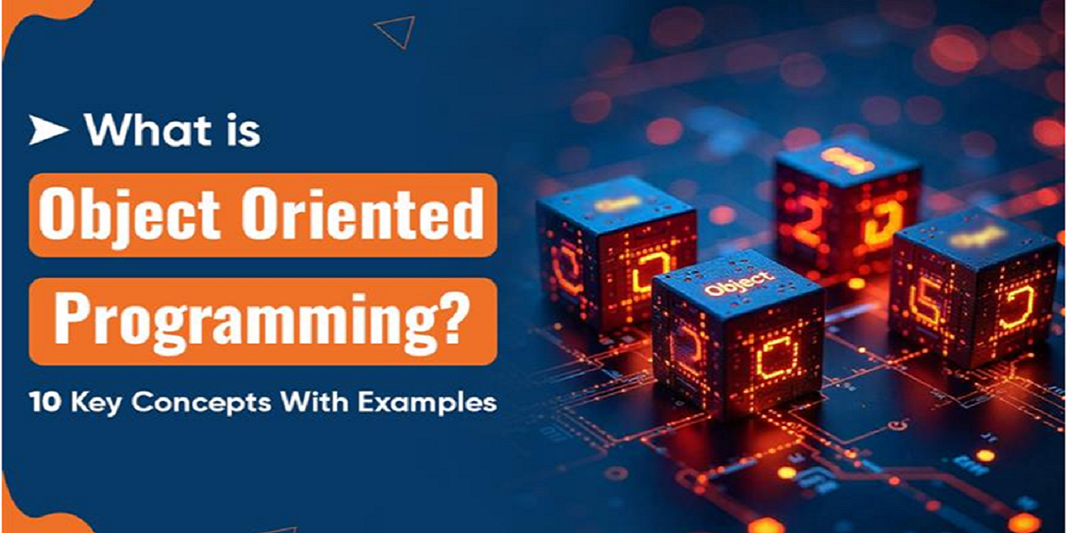 What is Object Oriented Programming? 10 Key Concepts with Examples
