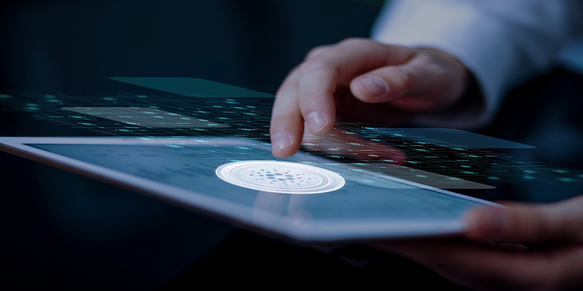 NFT Staking Platform Development: How to Launch an NFT Staking Platform?