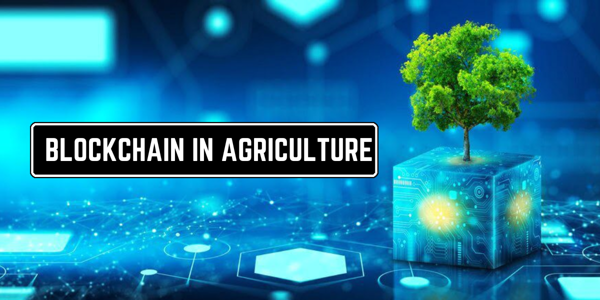 Blockchain in Agriculture: Synopsis of the Benefits and Challenges in Its Appropriation