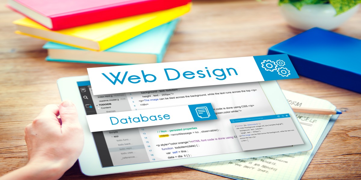 Web Design vs Web Development: Key Differences Explained