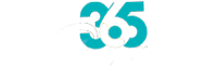365 Days On