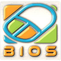 Bangladesh IT & Outsourcing Solutions :: BIOS