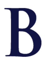 Banibro IT Solutions