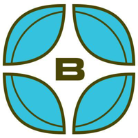 Bayleaf Software Inc.
