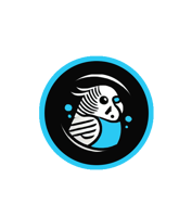 Blue Winky Tech, LLC