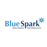 Bluespark Business Technology Solution Plc