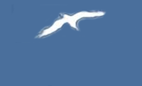 DalmaSoft