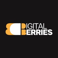 DIGITAL BERRIES PVT LTD