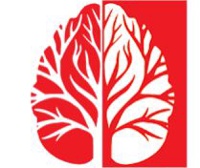 Dinnova AG