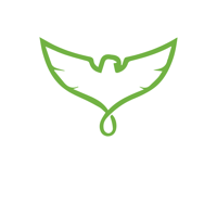 Ezio Infotech Pvt. Ltd.