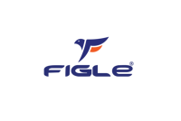 Figle Technologies Private Limited