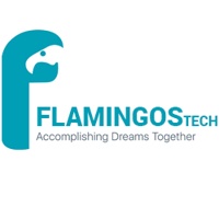 FlamingsTech