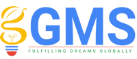 Global Matrix Solution
