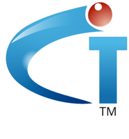 IT Company