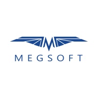 MEGSOFT CONSULTING, INC.