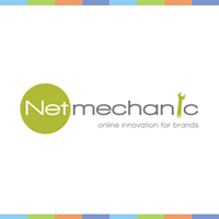 NetMechanic