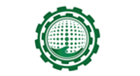 NSM LLC