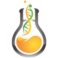PhD Labs