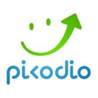Picodio Digital Agency