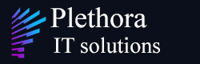 PLETHORA IT & HR SOLUTIONS