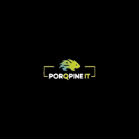 PorQpine IT
