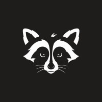 Raccoons Games