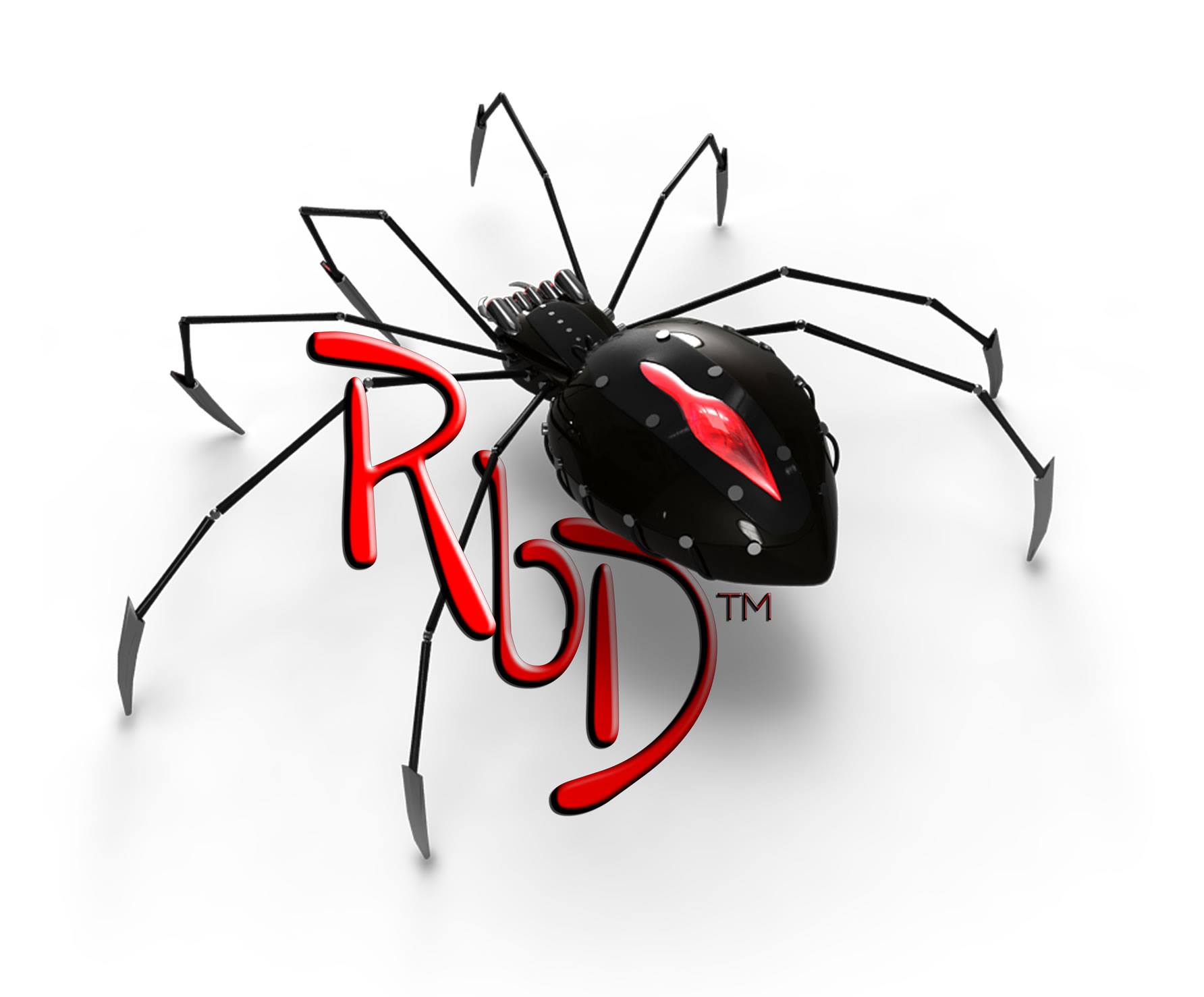 Redback Digital PTY LTD