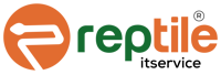 Reptile IT Service
