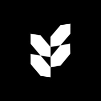 Revlient intercontinental LLP