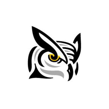 Sofionik Design Group