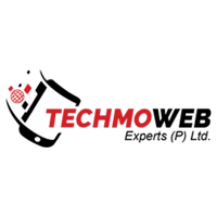 TechmoWeb Experts Pvt. Ltd.