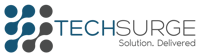 Techsurge Inc