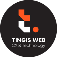 Tingis Web a customer experience (CX) agency: software development and digital marketing ??