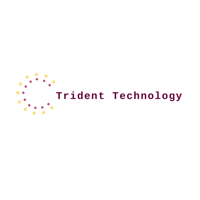 Trident Technology Software Corp