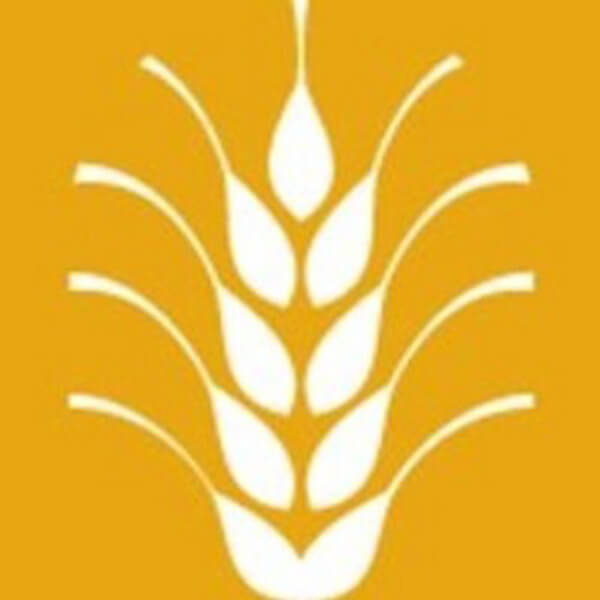 Whole Wheat Creative