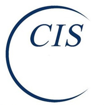 Custom Information Services